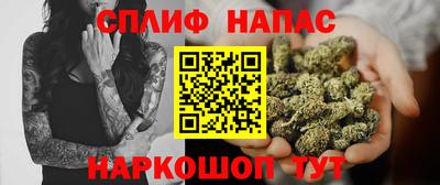 индика Пушкино