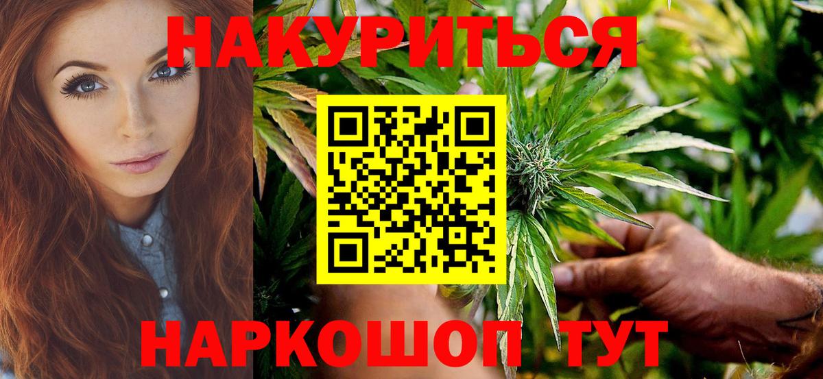 Бошки Шишки семена Сунжа